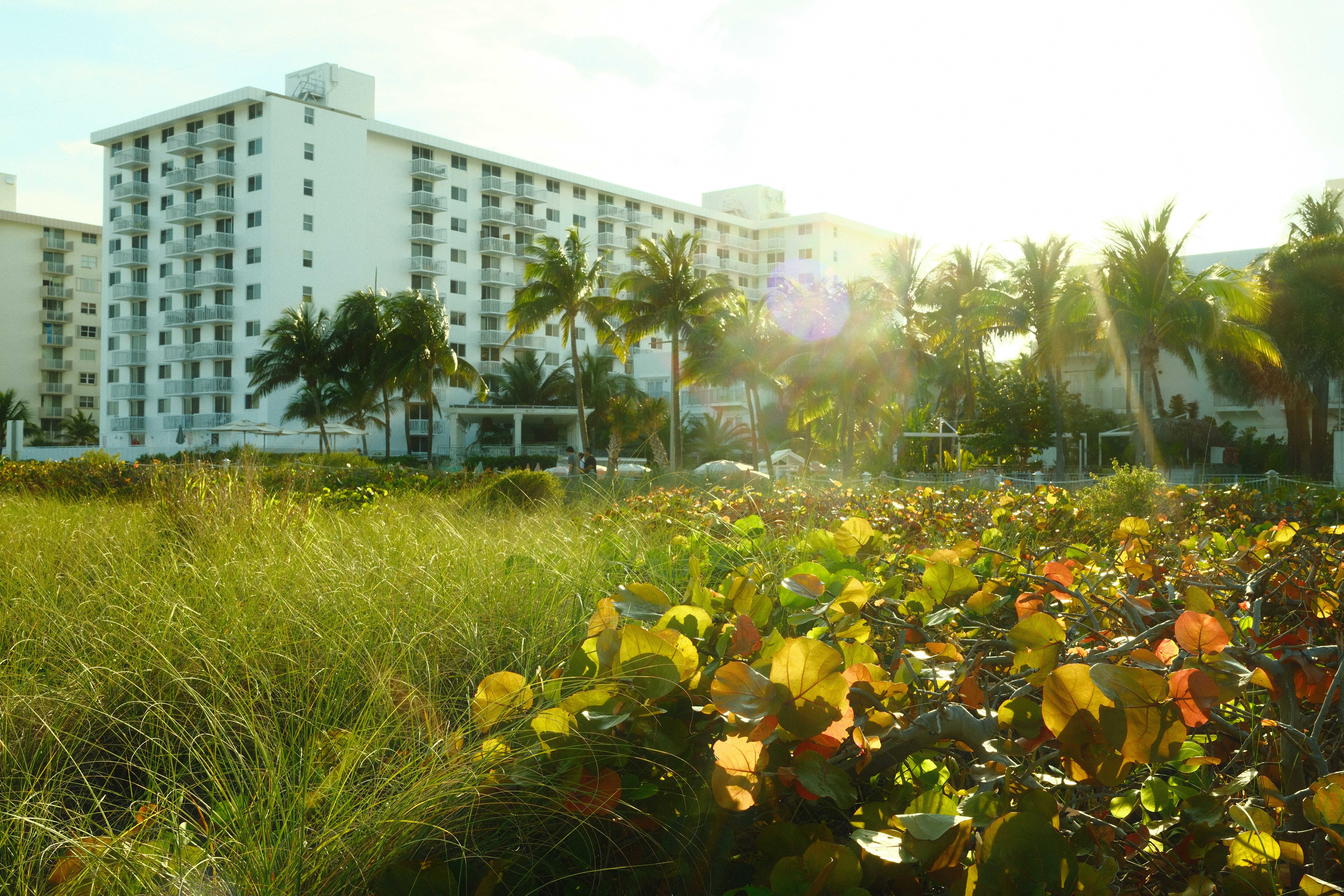 miami_beach